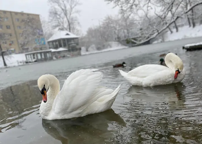 Cozy Апартаменти