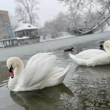 Cozy Апартаменты